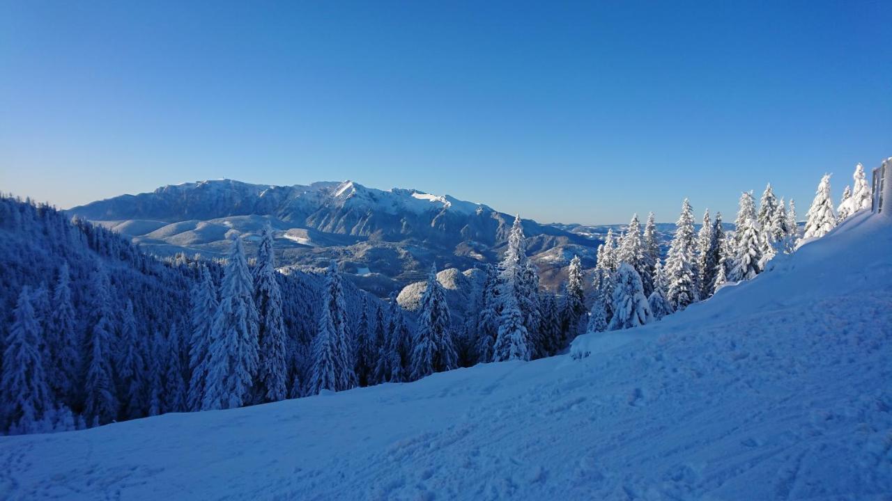 Apartament 2706 Alpin Resort, Etaj 7, Poiana Brasov Ngoại thất bức ảnh