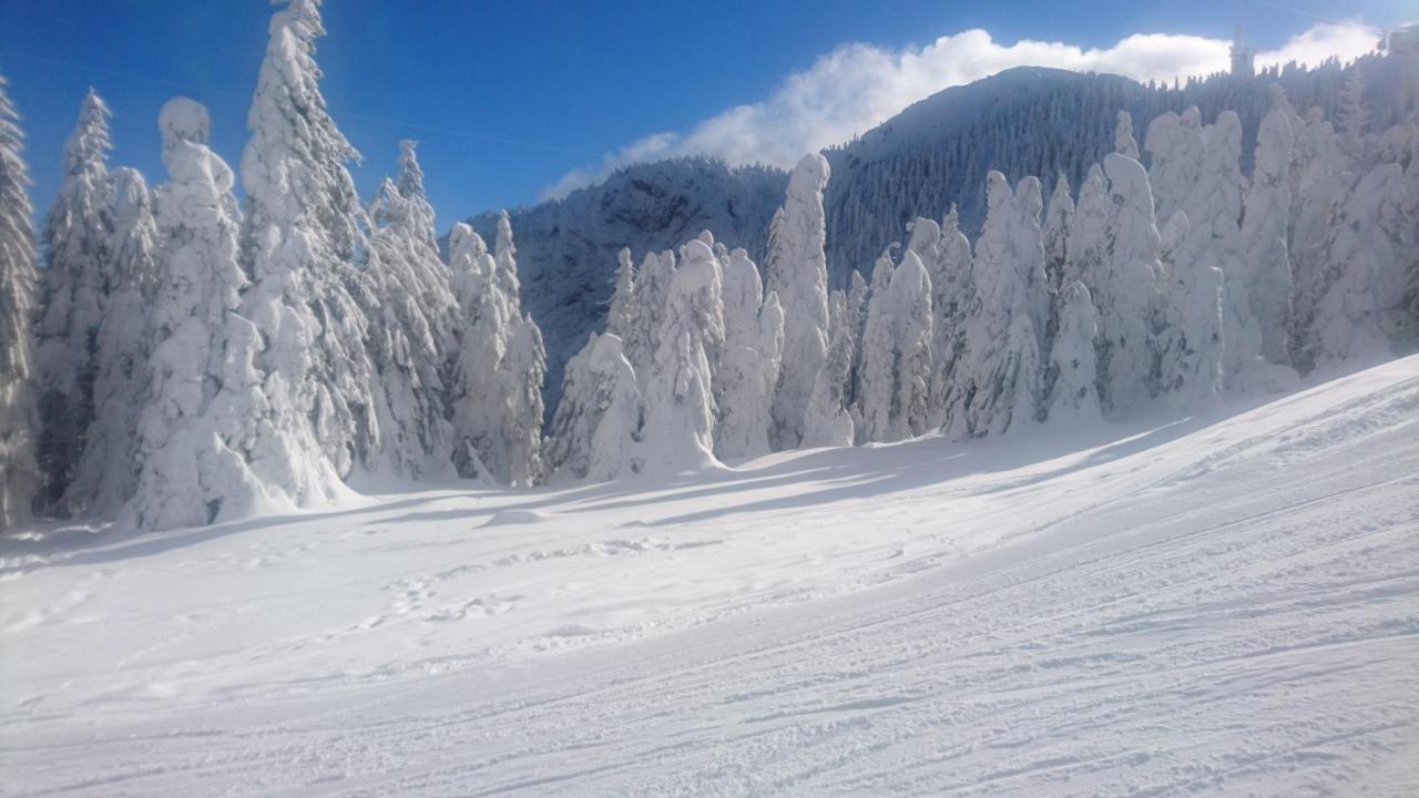 Apartament 2706 Alpin Resort, Etaj 7, Poiana Brasov Ngoại thất bức ảnh