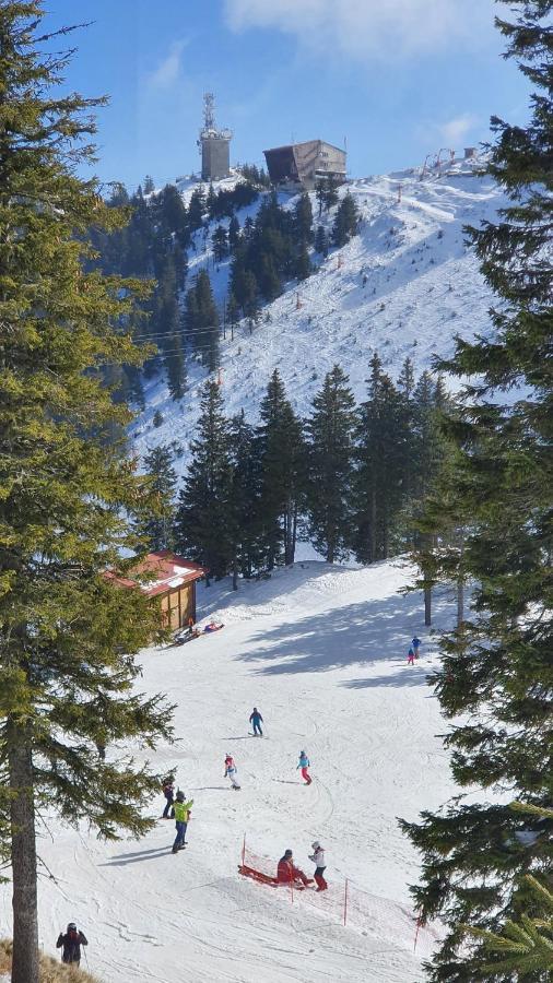 Apartament 2706 Alpin Resort, Etaj 7, Poiana Brasov Ngoại thất bức ảnh